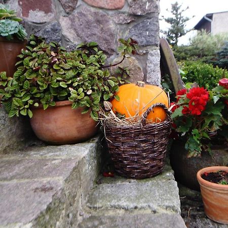 Ferienwohnung Tak Lubisz Gardna Wielka Exterior foto